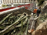 1 dead  and 4 wounded after fall of heavy cactus in Monaco